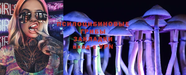 эйфоретик Горняк