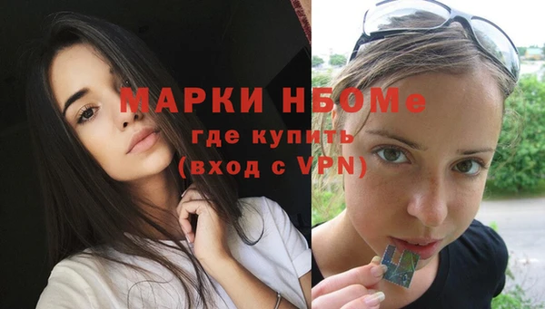 винт Гусь-Хрустальный