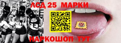 амф Камышлов