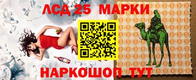 амф Камышлов