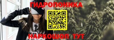 амф Камышлов