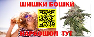 амф Камышлов