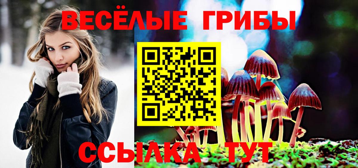 Псилоцибиновые грибы GOLDEN TEACHER Мценск