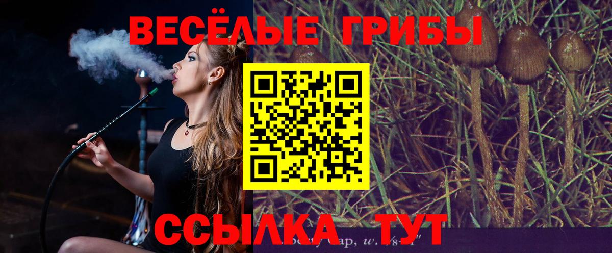 где можно купить наркотик  Псилоцибиновые грибы мухоморы  Вход с VPN  Мценск 