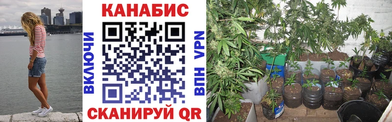 МАРИХУАНА White Widow  Мценск 